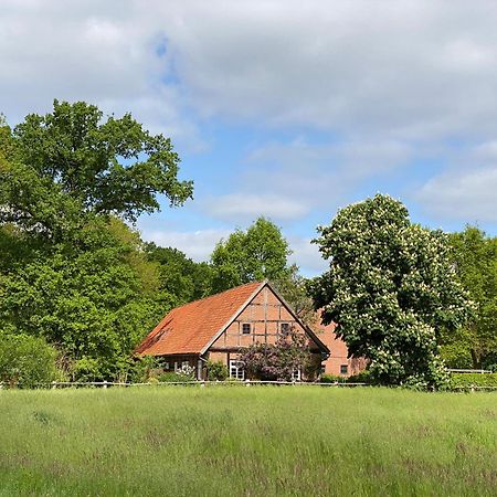 Ferienhaeuser Weitblick Gilten Ngoại thất bức ảnh